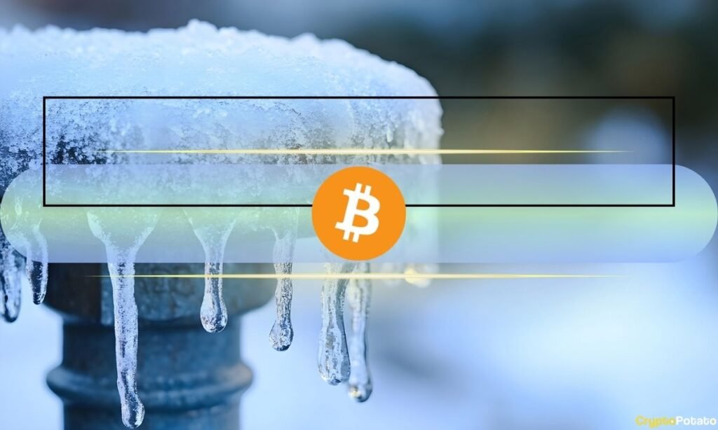 Bitcoin Could Avoid a Full Quantum Freeze Under New ‘Canary’ Proposal Bitcoin Could Avoid a Full Quantum Freeze Under New 'Canary' Proposal