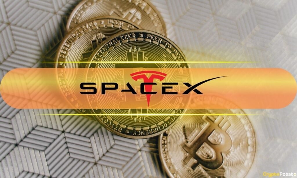 SpaceX Reveals How Much Bitcoin (BTC) It Owns SpaceX Reveals How Much Bitcoin (BTC) It Owns