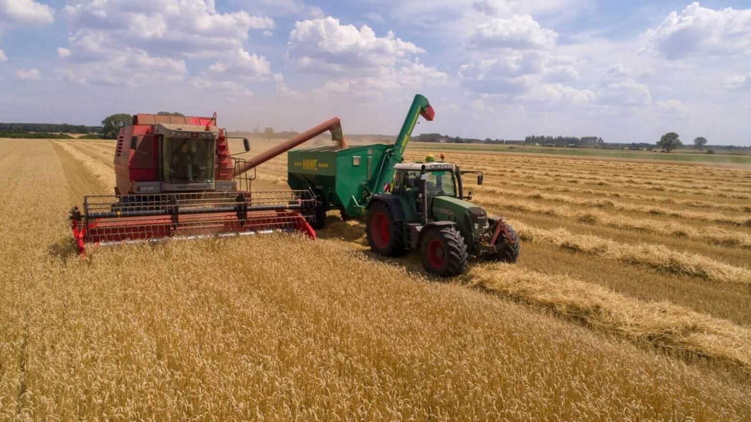 Wheat Posting Thursday Losses | Nasdaq Wheat Posting Thursday Losses | Nasdaq