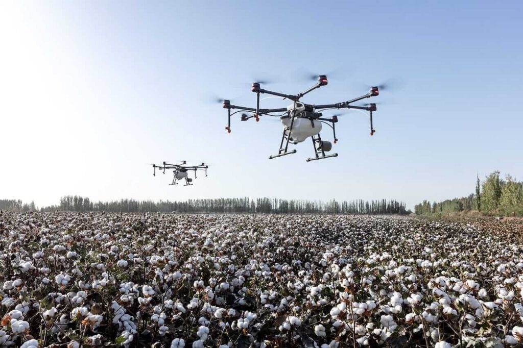 Cotton Posts Monday Gains, as Ratings Slip Cotton Posts Monday Gains, as Ratings Slip